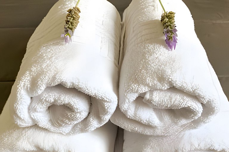 Balcón y cochera, en Corazón Histórico de Mendoza