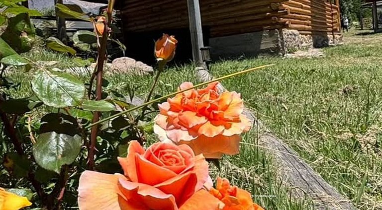 Cabaña del Oeste en Manzano Histórico, Tunuyán | 7 pax